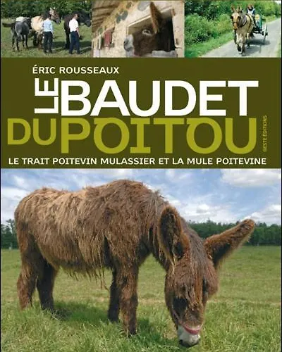 Duplex Au Coeur De Chauvigny