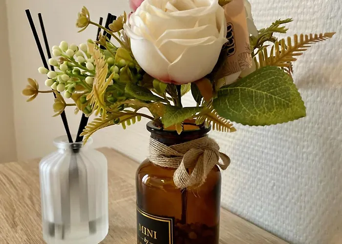 Duplex Au Coeur De * Chauvigny